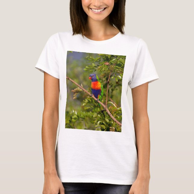 Regnbågslorikit T-shirt (Framsida)