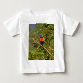 Regnbågslorikit Tee