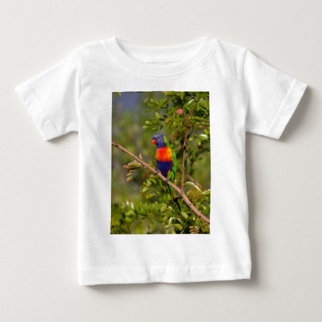 Regnbågslorikit Tee (Framsida)