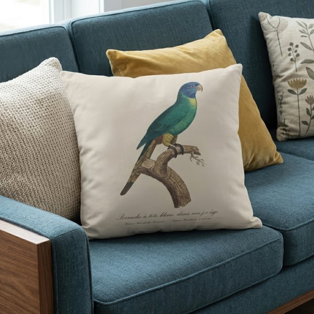 Regnbågslorikit ungfågel Trichoglossus moluccanus Kudde (Perruche a tete bleue / Rainbow lorikeet, juvenile. Throw Pillow)