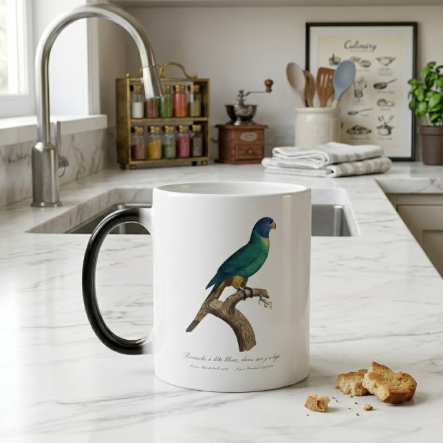Regnbågslorikit ungfågel Trichoglossus moluccanus Magisk Mugg (Perruche a tete bleue / Rainbow lorikeet, juvenile. Color Morph Mug)