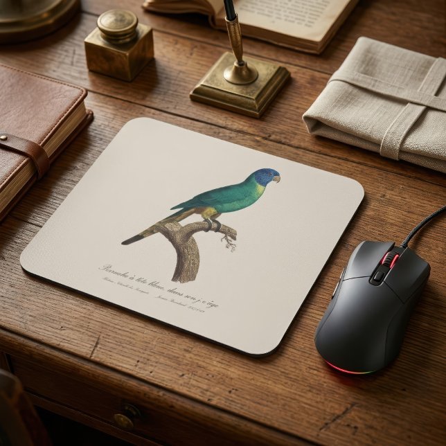 Regnbågslorikit ungfågel Trichoglossus moluccanus Musmatta (Perruche a tete bleue / Rainbow lorikeet, juvenile. Mouse Pad)