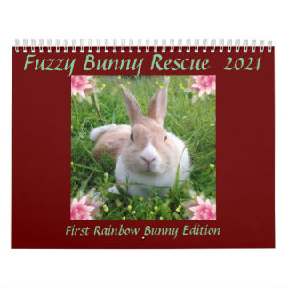 Regnbågsminneskalender 2021 kalender