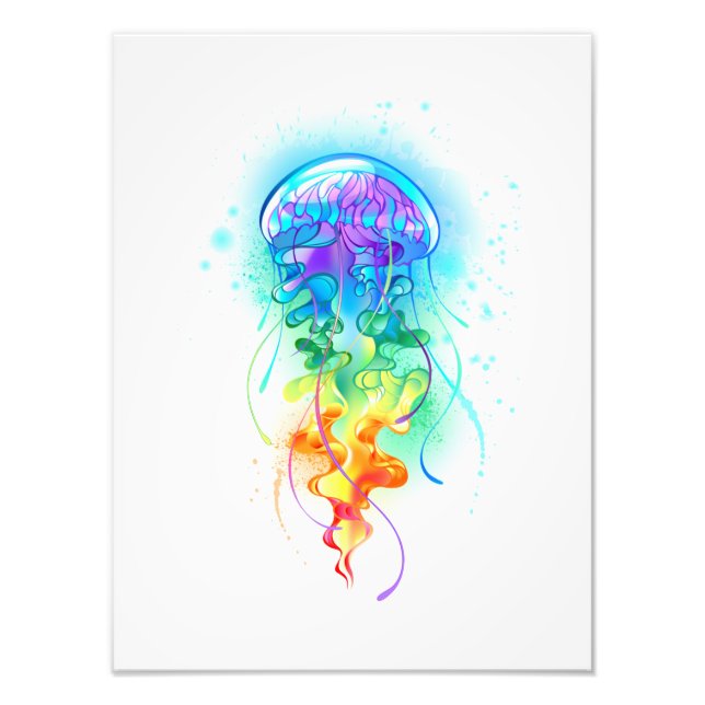 Regnbågsnäcka Fototryck (Framsidan)