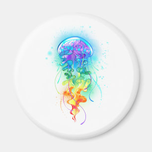 Regnbågsnäcka Magnet