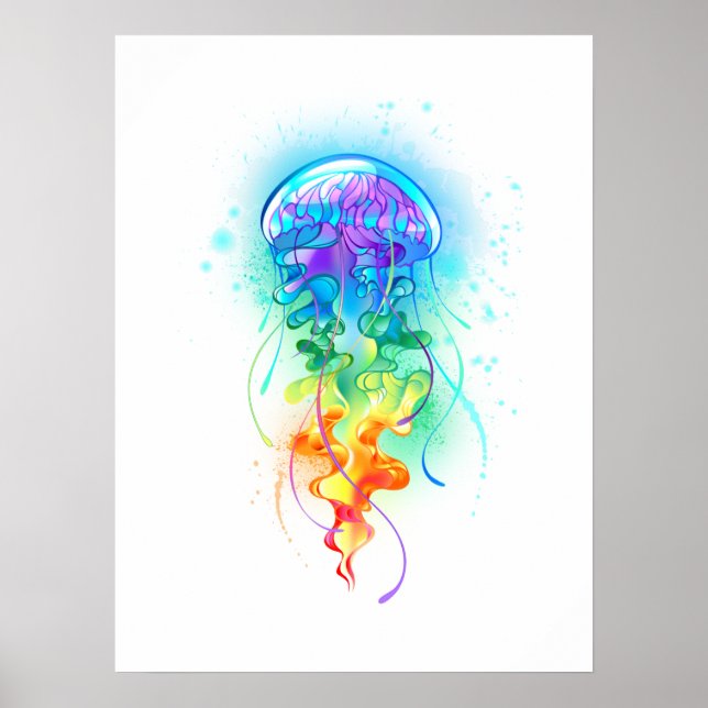 Regnbågsnäcka Poster (Framsidan)