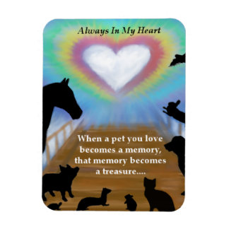 Regnbågspets Magnet