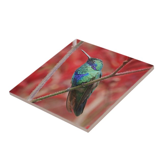 Regnbågsskimrande sken kakelplatta (Sidan)