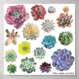 Regnbågsunderordnad utskrift poster