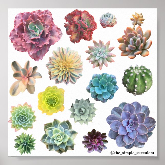 Regnbågsunderordnad utskrift poster (Framsidan)