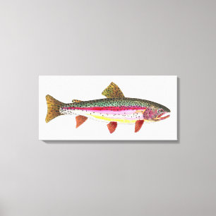 RegnbågTrout Canvastryck