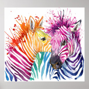 Regnbågzebra, illustration av vattenfärgens vild. poster