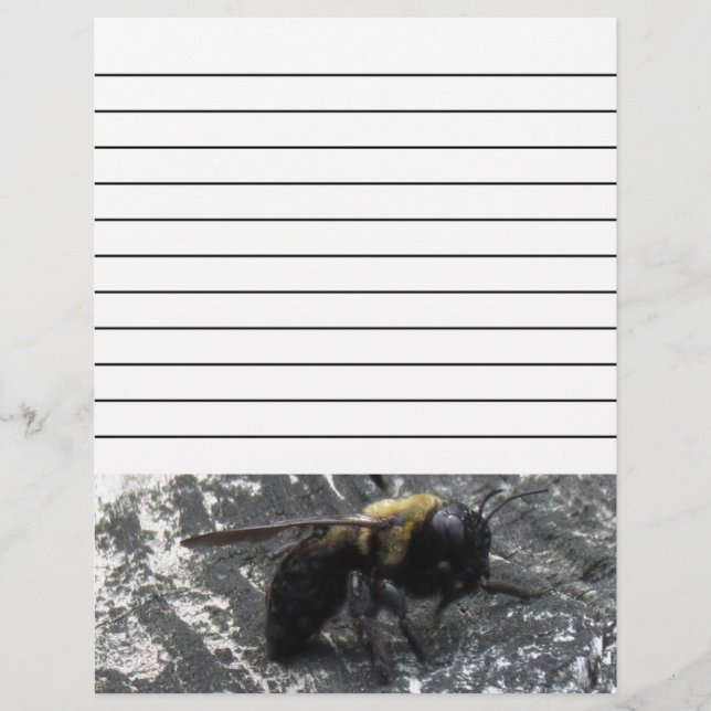 Regndroppar (Framsida)