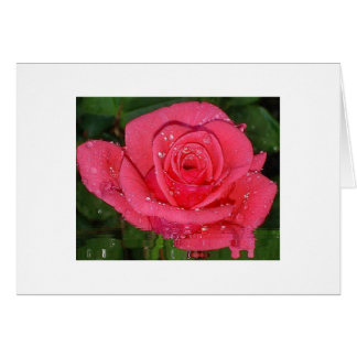 Regndroppar Hälsningskort