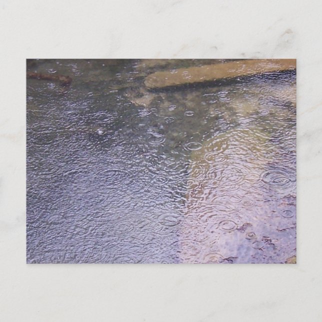 Regndroppar i en Puddle Vykort (Framsida)