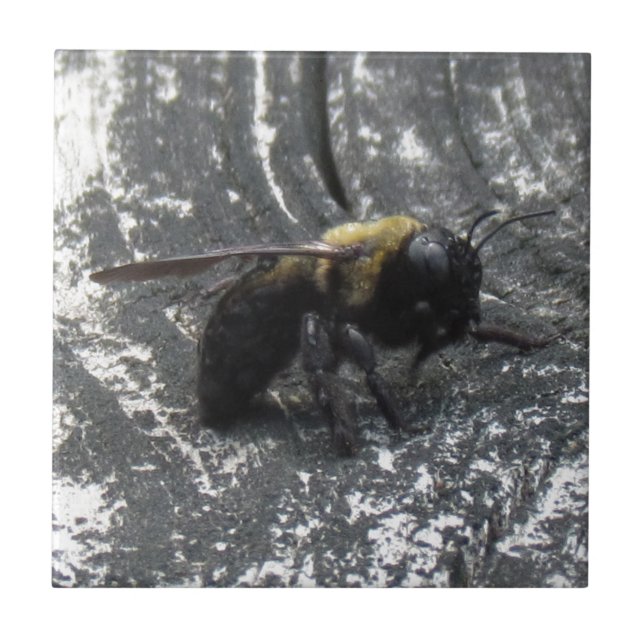 Regndroppar Kakelplatta (Framsidan)