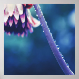 Regndroppar på Abstrakten Flower Stem-makro Poster