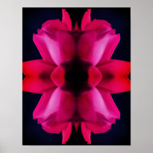 Regndroppar på Abstrakten Röd Rosenknopp Poster