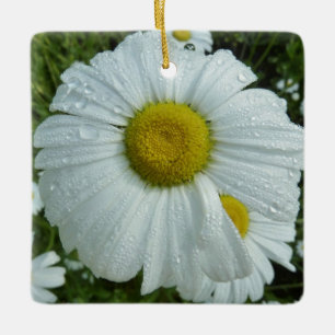 Regndroppar på Daisy I Wildblomma-Blommigten Julgransprydnad Keramik