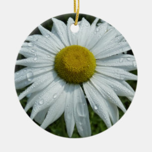 Regndroppar på Daisy II-Blommigten Wildblomma Julgransprydnad Keramik
