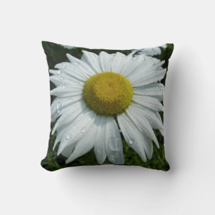 Regndroppar på Daisy II-Blommigten Wildblomma Kudde