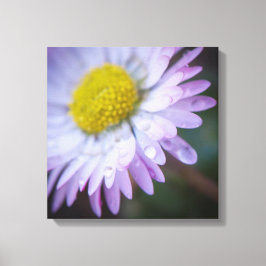 Regndroppar på en daisy canvastryck