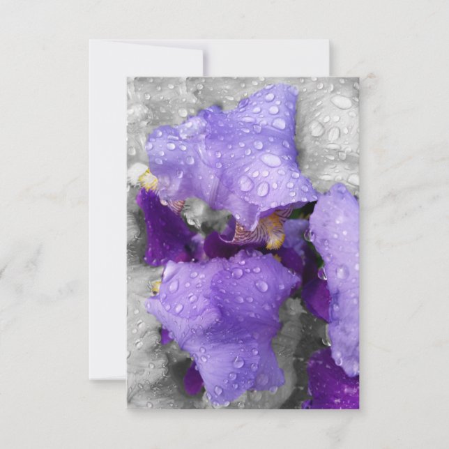 regndroppar på iris (Framsida)