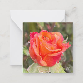 Regndroppar på Ro Anteckningskort