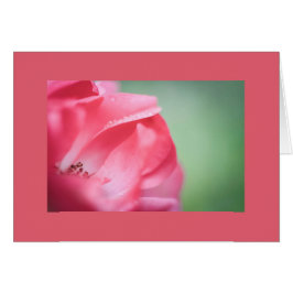 Regndroppar på ro hälsningskort