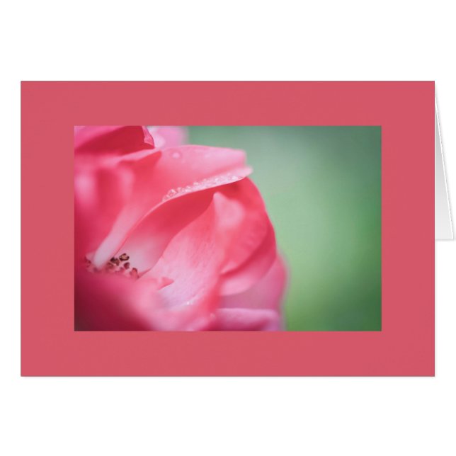 Regndroppar på ro hälsningskort (Framsidan Horizontal)