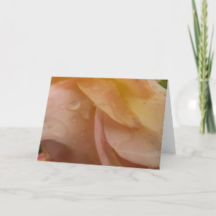Regndroppar på Ro Petals Rosa Peach Blommigt Kort