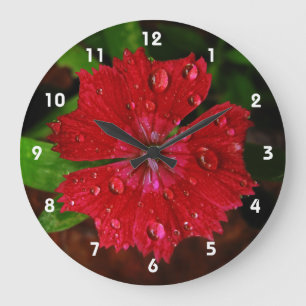 Regndroppar på vackert Red Dianthus Flower Photo Stor Klocka