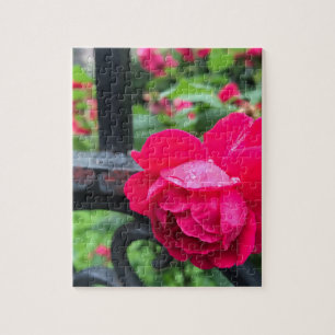 Regndroppar Rosa ros Flower Ro Rainy Day NYC Pussel