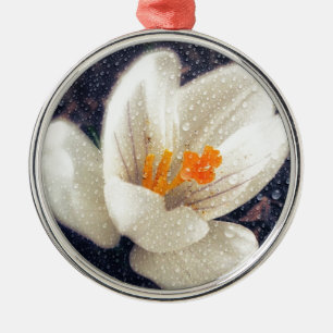Regnig dag Crocus Flower Julgransprydnad Metall