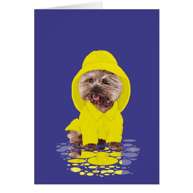 Regniga Dagars Cairn Terrier Hälsningskort (Framsidan)