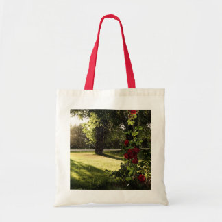 Regniga ro hänger lös tygkasse