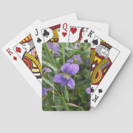 Regniga Violets som leker kort Spel Kort