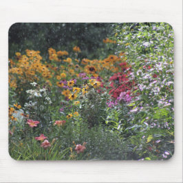 Regnigt dagsolsken Along vägen Musmatta