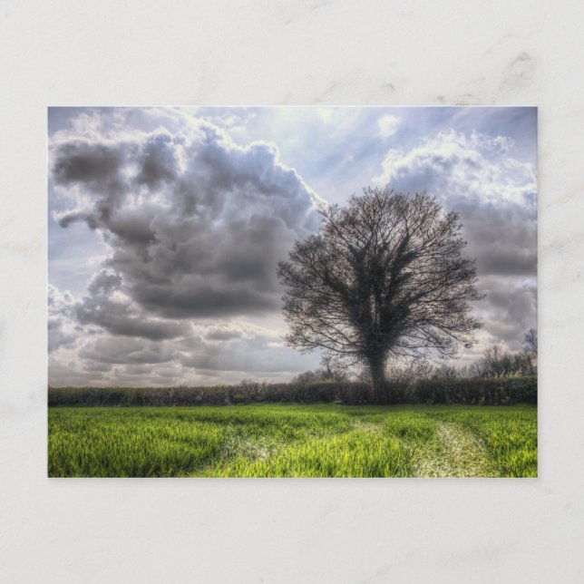 Regnmoln i Vår HDR Vykort (Framsida)