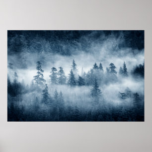 Regnskogen fördunklar i den Stillahavs- Poster