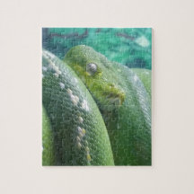 Regnskogens ormpussel