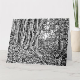 Regnskogsjätte Art Card South Australia Kort