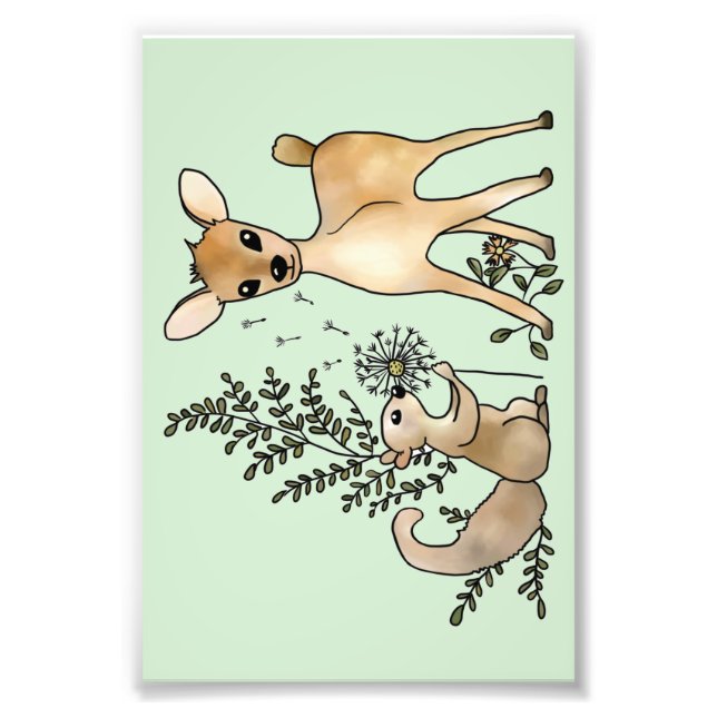 Reh und Eichhörnchen  Fototryck (Framsidan)
