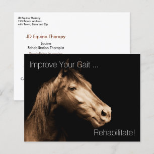 Rehabiliteringsbehandling Equine Specialist Appoin Vykort