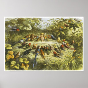 Rehearsal i Fairyland Poster av Richard Doyle