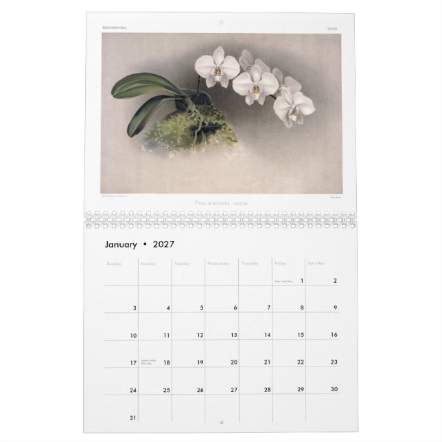 Reichenbachia Orchids 2015 Kalender (Jan 2027)