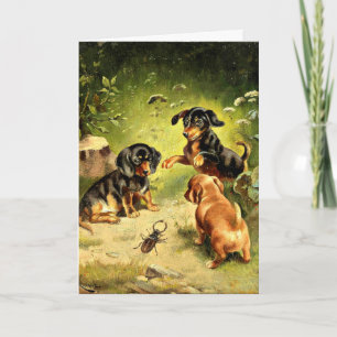 Reichert - Dachshund Puppies vid Play Kort