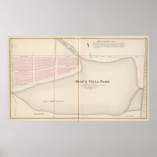 Reids Villa Park, NJ Poster (Framsidan)