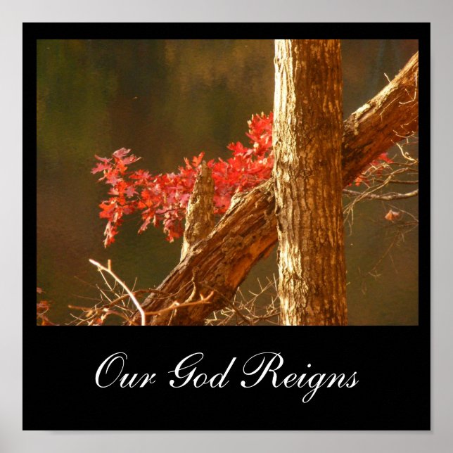 Reigns Poster (Framsidan)