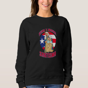 Reina Y Madre Santísima Virgen De La Divina Provid T Shirt